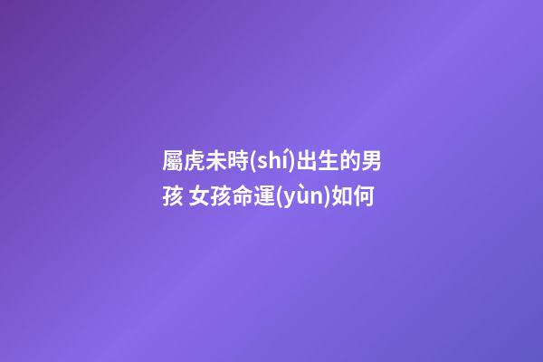 屬虎未時(shí)出生的男孩 女孩命運(yùn)如何